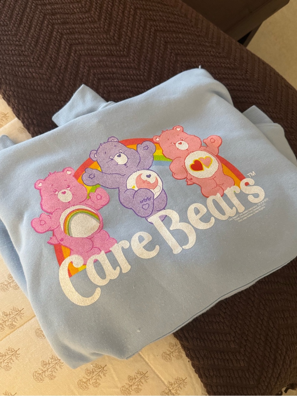 Y2K Care Bears Pastel Blue Hoodie